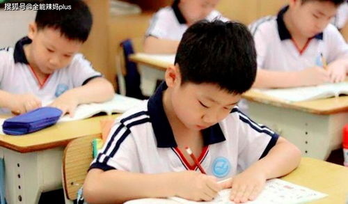 小学生满分作文《课后看护》爆红网络，老师笑出眼泪直呼“智商不得了”